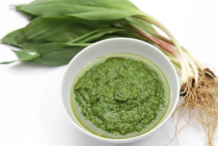 斜坡pesto.
