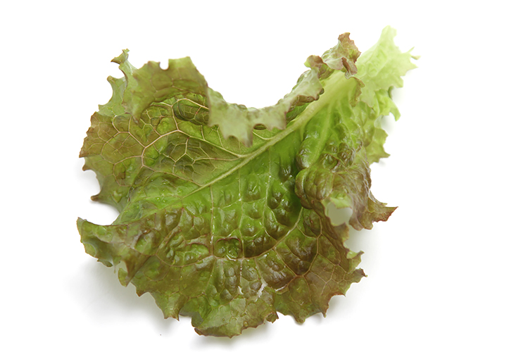 罗罗娜·罗拉